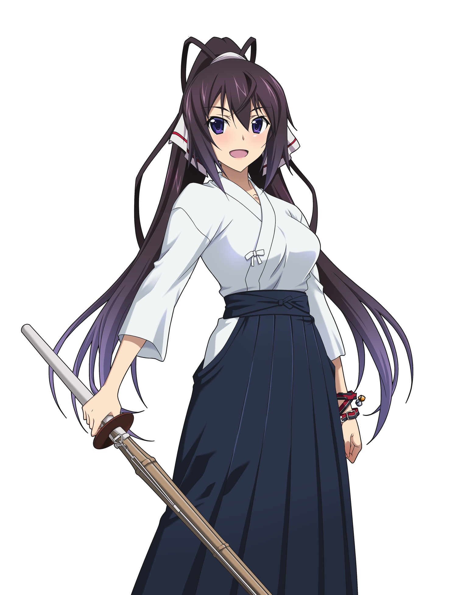 Houki Shinonono, Wiki