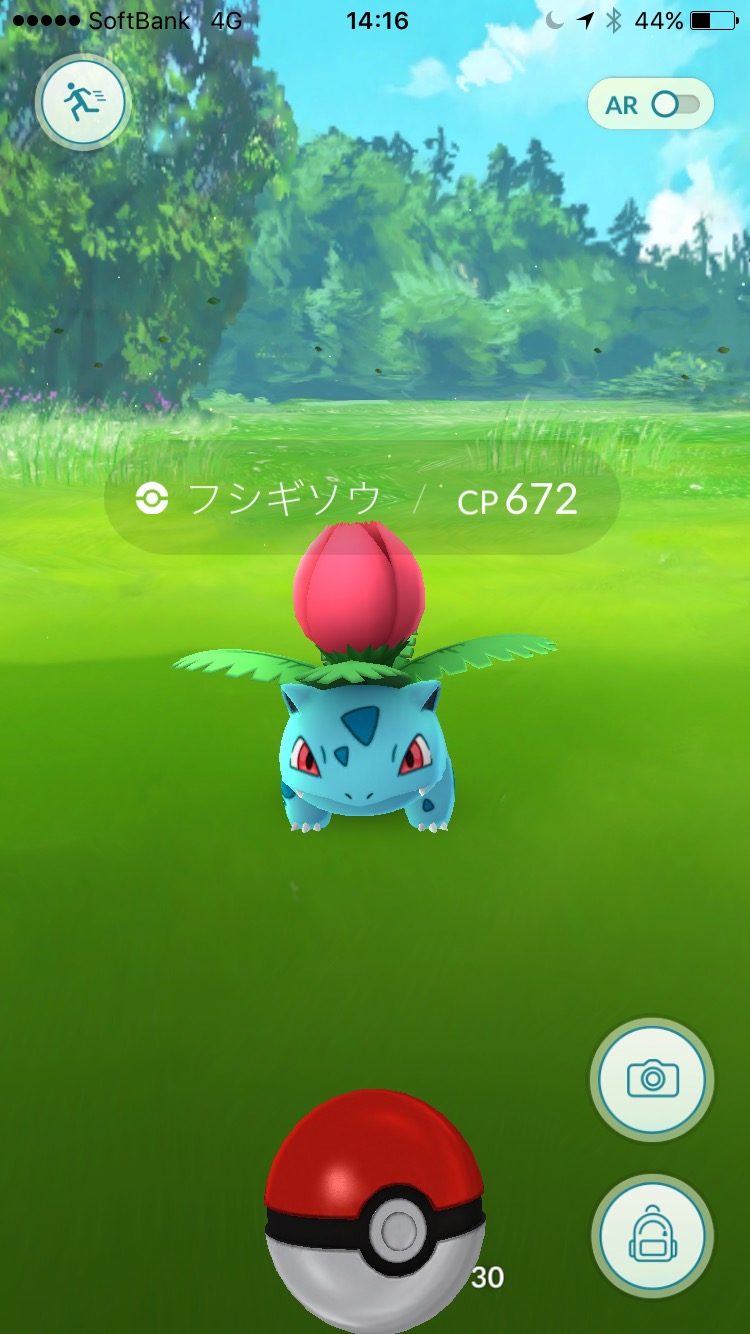 ポケモンgoコラム ミニリュウの巣からイーブイの巣へ 7月30日 土 以降の世田谷公園を探索 Boom App Games