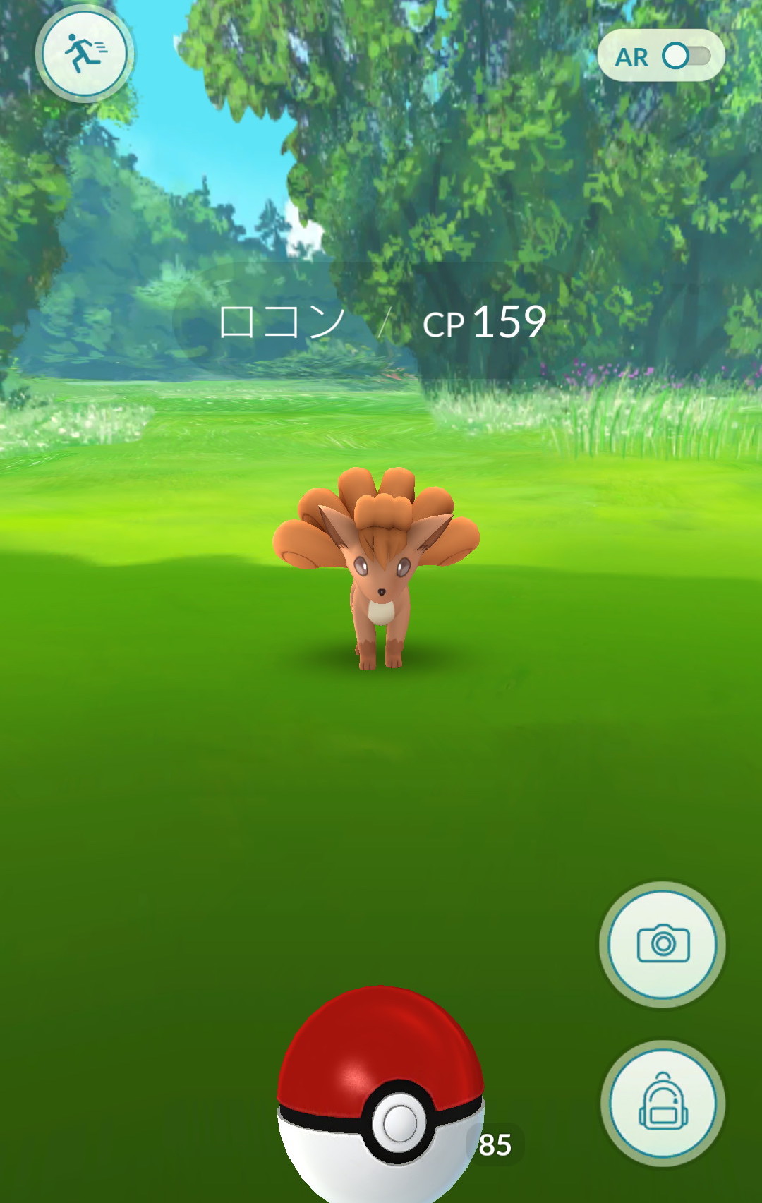 ポケモンgoコラム ロコンの巣 富士森公園 を調査 キュウコンに進化するまでにかかる時間も検証 Boom App Games