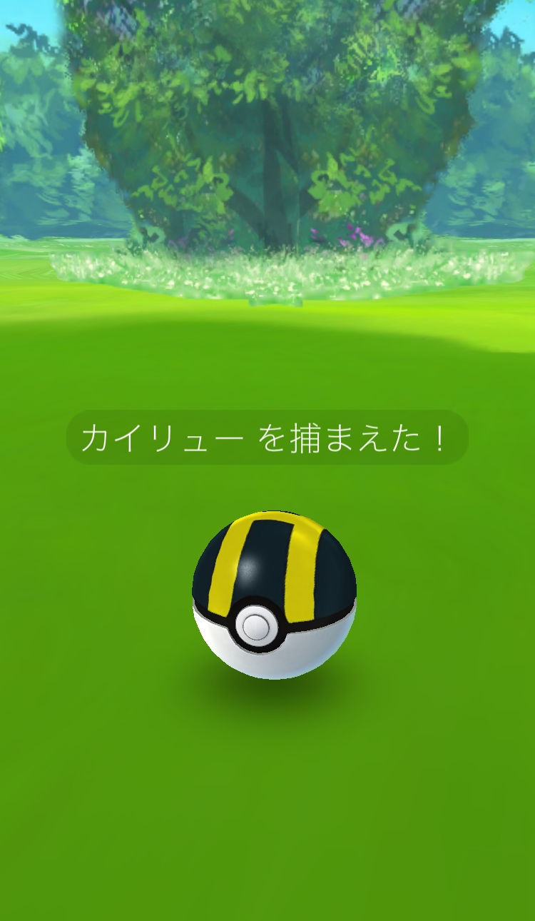 ポケモンgoコラム 苦節3ヶ月ようやくミニリュウのアメが集まったのでカイリューへ進化 最適なわざを伴って進化してくれるのか Boom App Games