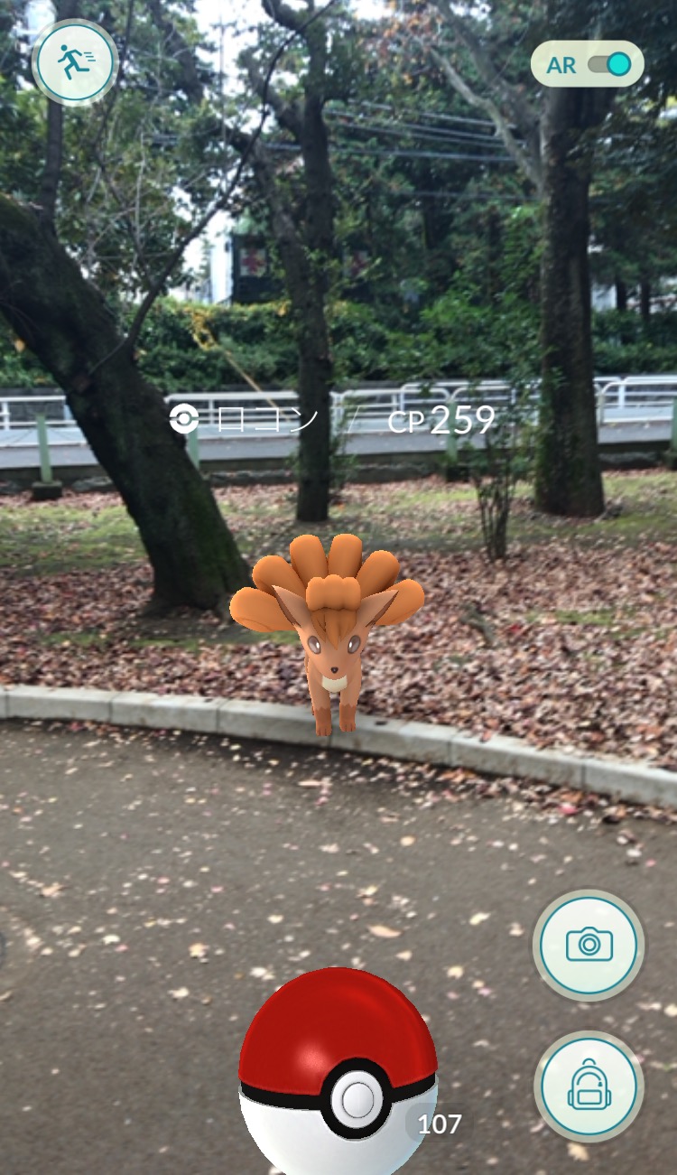 ポケモンgoコラム 感謝祭開催中にロコンの巣 世田谷公園 を探索 キュウコンに進化なるか そして 再びメタモンも Boom App Games