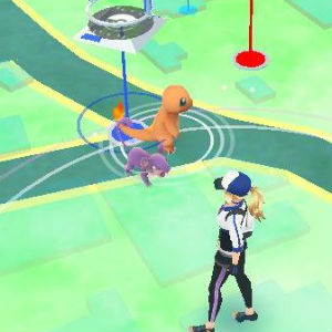 ポケモンgo攻略 御三家 ヒトカゲ ゼニガメ フシギダネ 出現率アップ中の期間にやるべきこととは Boom App Games