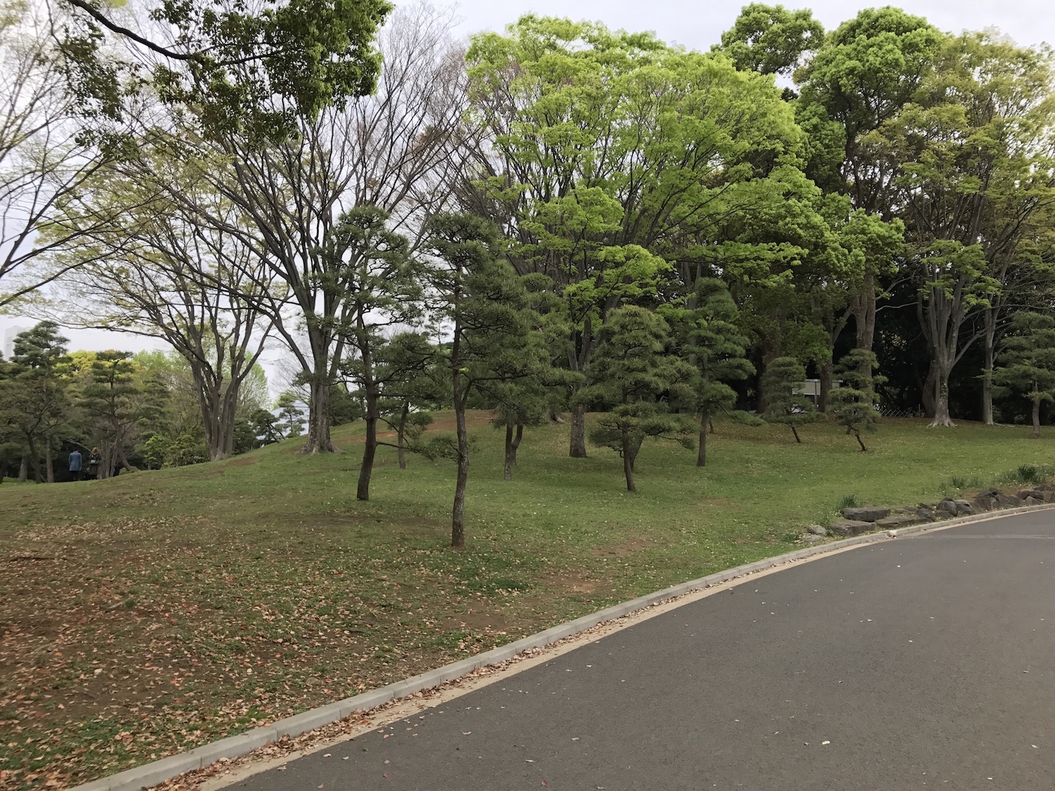 ポケモンgoコラム ウリムーの巣になった 代々木公園 を探索 最後はイノムーに進化 そしてまさかの金のコイキングもゲット Boom App Games