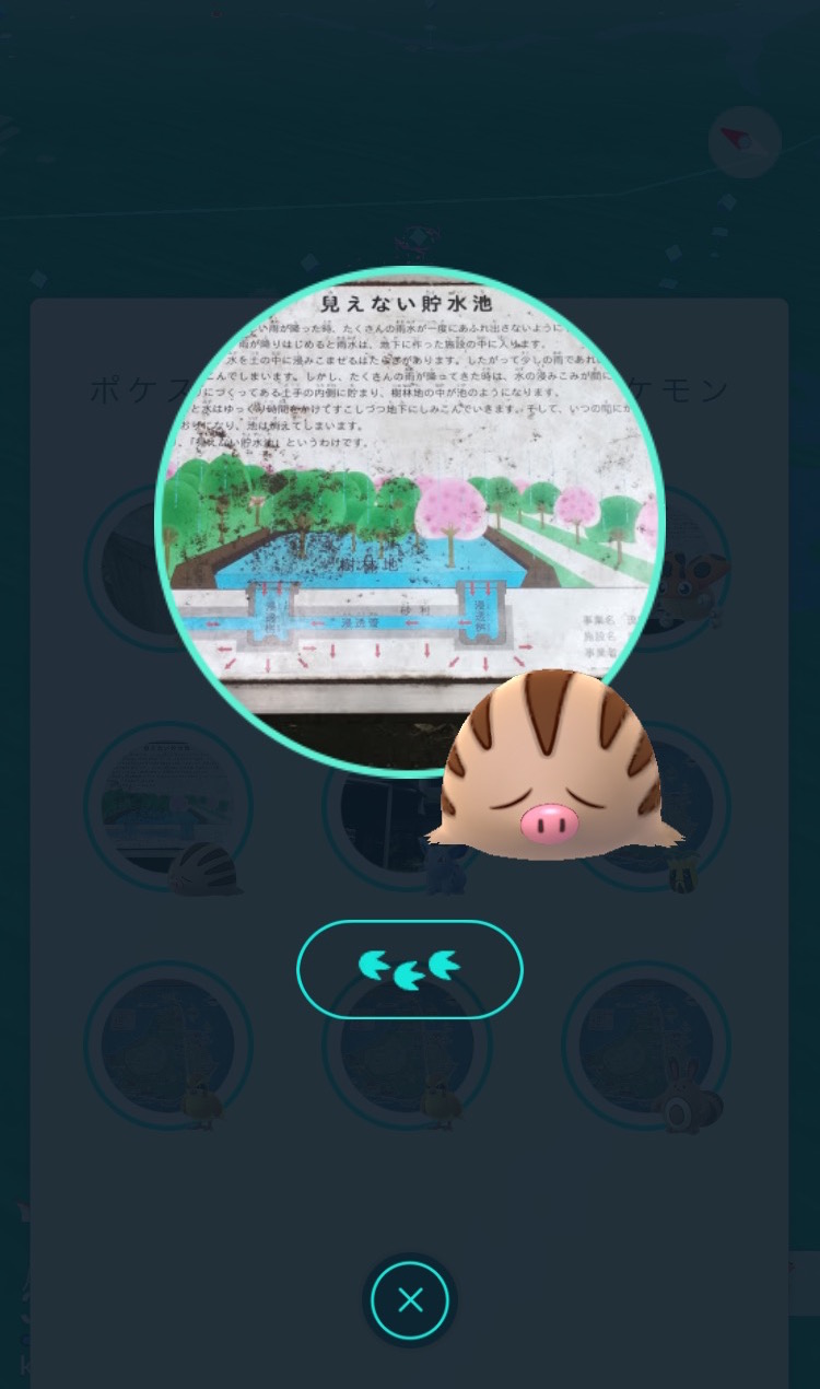 ポケモンgoコラム ウリムーの巣になった 代々木公園 を探索 最後はイノムーに進化 そしてまさかの金のコイキングもゲット Boom App Games