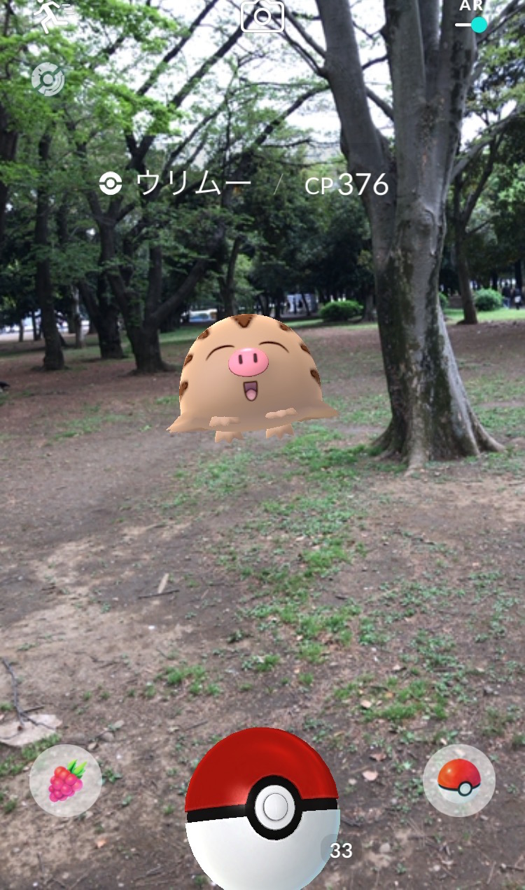 ポケモンgoコラム ウリムーの巣になった 代々木公園 を探索 最後はイノムーに進化 そしてまさかの金のコイキングもゲット Boom App Games