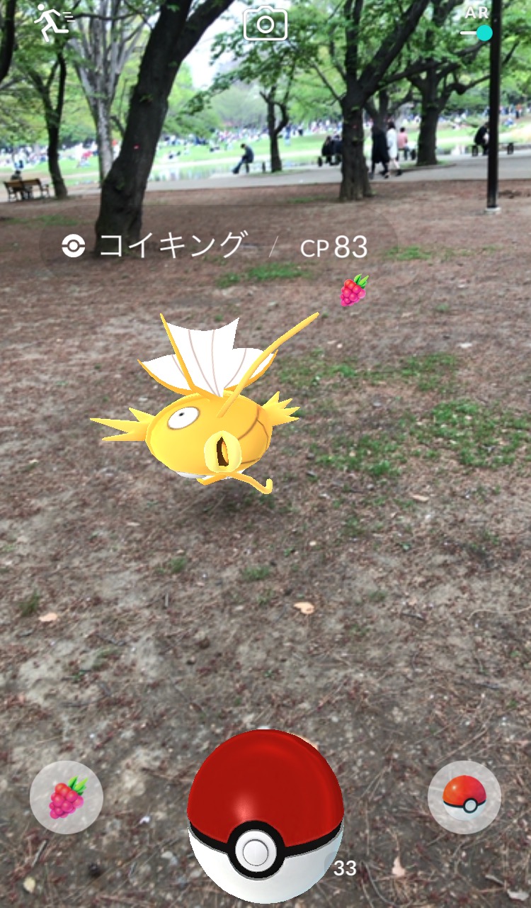 ポケモンgoコラム ウリムーの巣になった 代々木公園 を探索 最後はイノムーに進化 そしてまさかの金のコイキングもゲット Boom App Games