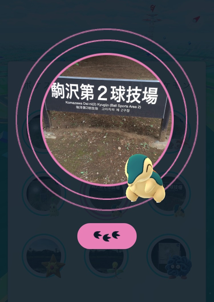 ポケモンgoコラム ヒノアラシの巣となった 駒沢公園 を探索 効率的にアメをゲットして最後はバクフーンに進化 Boom App Games