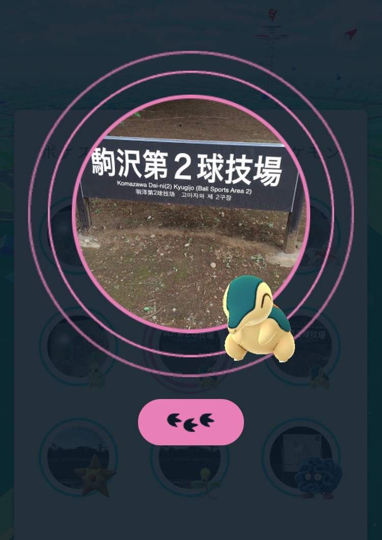 ポケモンgoコラム ヒノアラシの巣となった 駒沢公園 を探索 効率的にアメをゲットして最後はバクフーンに進化 Boom App Games