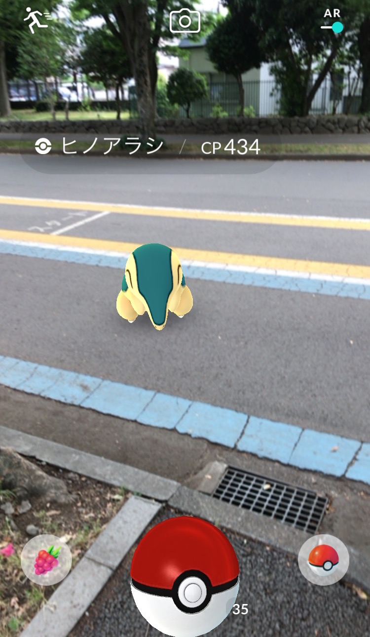 ポケモンgoコラム ヒノアラシの巣となった 駒沢公園 を探索 効率的にアメをゲットして最後はバクフーンに進化 Boom App Games