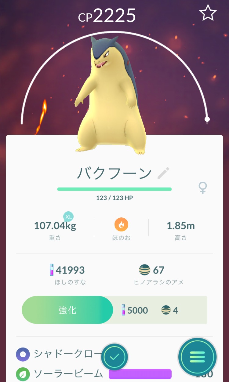 ポケモンgoコラム ヒノアラシの巣となった 駒沢公園 を探索 効率的にアメをゲットして最後はバクフーンに進化 Boom App Games