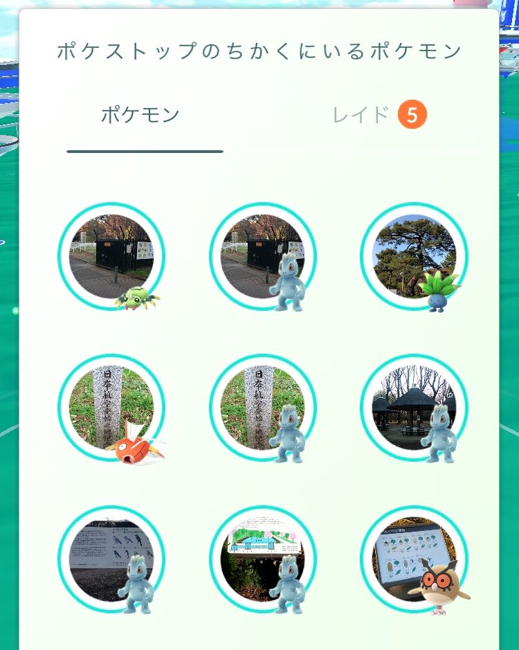 ポケモンgoコラム ワンリキーの巣となった 代々木公園 を探索 1時間でレイドバトルで大活躍のカイリキーに進化させられるのか Boom App Games