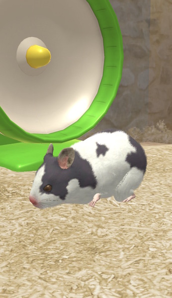 なまはむ もふもふで可愛いハムスターがいる生活を リアルな なま